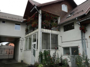 Гостиница Vila Nely, Рашнов